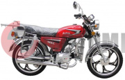 ����� ���� ALPHA 50�� (2L)����