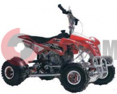 ATV Irbis 50 mini