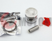 Поршень Alfa 70 0,75 (47,75 р-13) 139FMB TNT Поршень Alfa 70 0,75 (47,75 р-13) 139FMB TNT