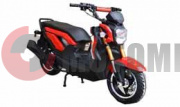 ������ MM HATTORI