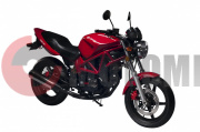 �������� ���-LIFAN LF 250-19P